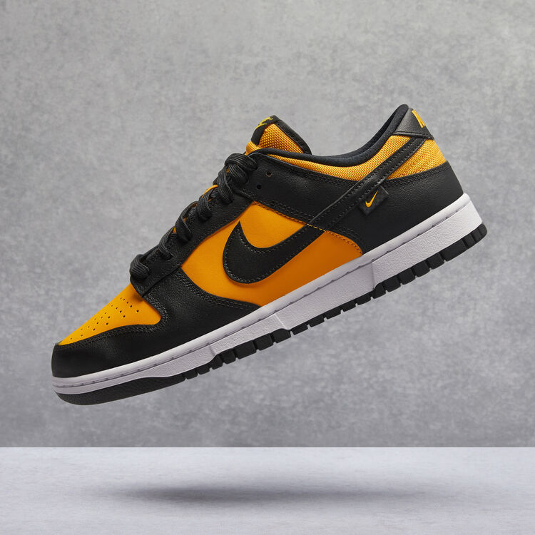 Dunk Low Shoes image number 0